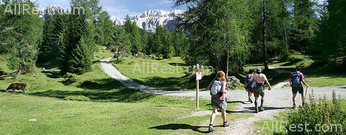 Alpenhotel Rainell 53